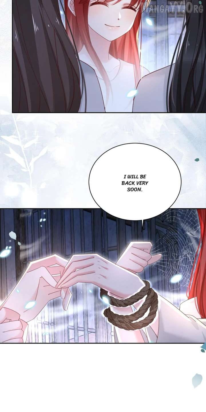 Cynical Master Raises Rabbit Spirit Chapter 81 - page 9