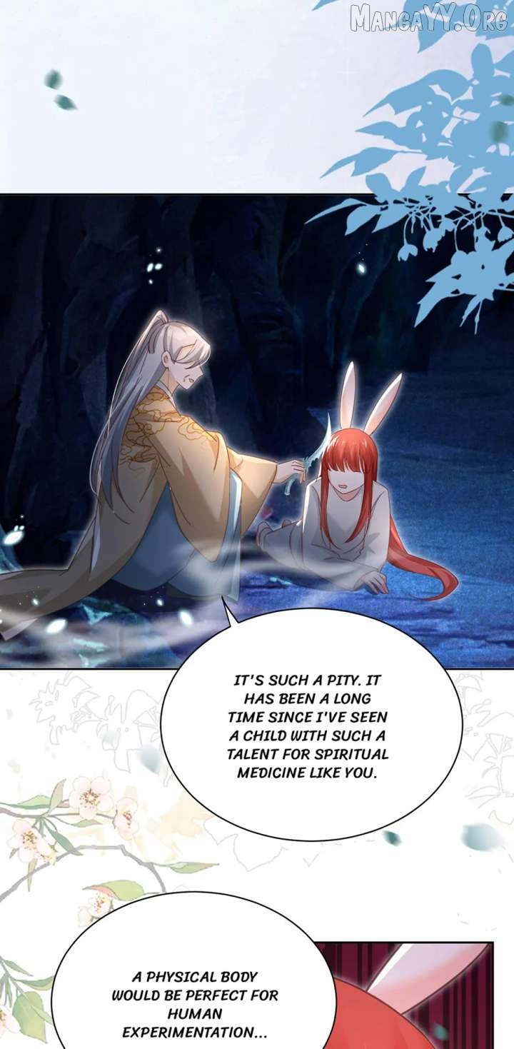 Cynical Master Raises Rabbit Spirit Chapter 82 - page 7