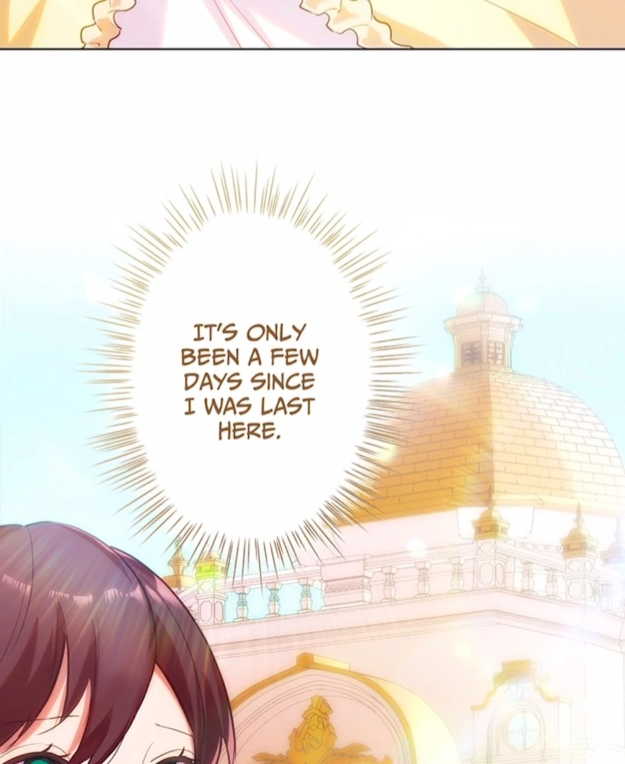 Your Majesty the King, I Will Educate You Chapter 28 - page 14