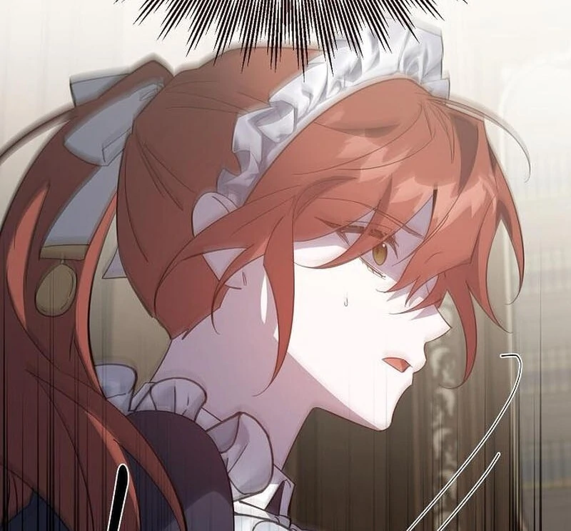 A Revenge Guide for the Terminally Ill Maid Chapter 42 - page 96