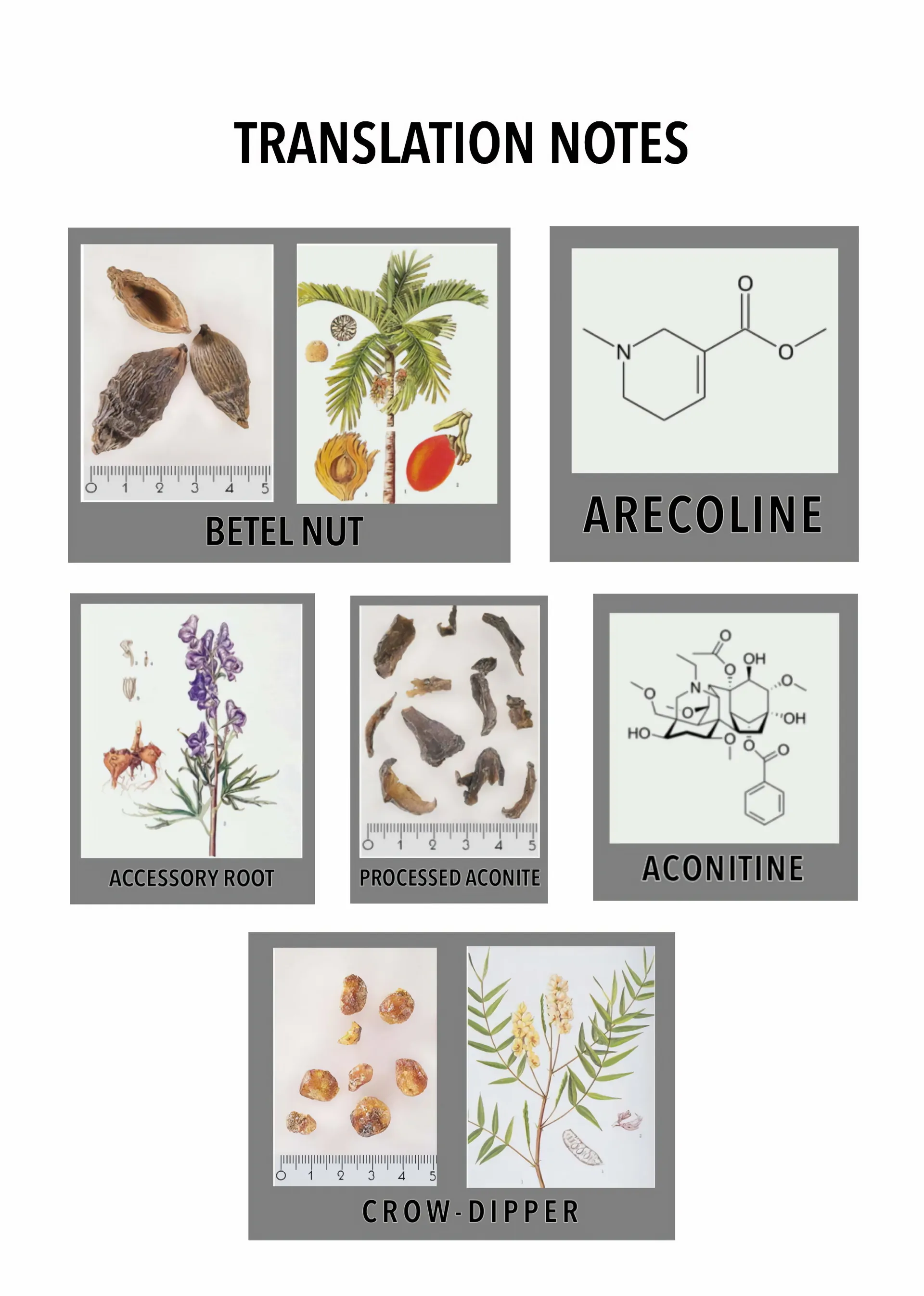 The Pharmacist and the Demon King Chapter 6 - page 36