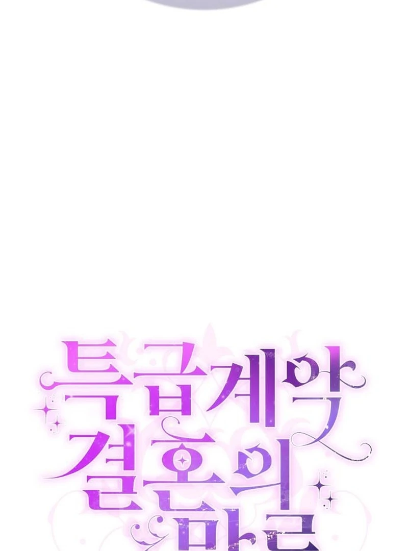 In the Name of Special Contract Marriage Chapter 28 - page 17