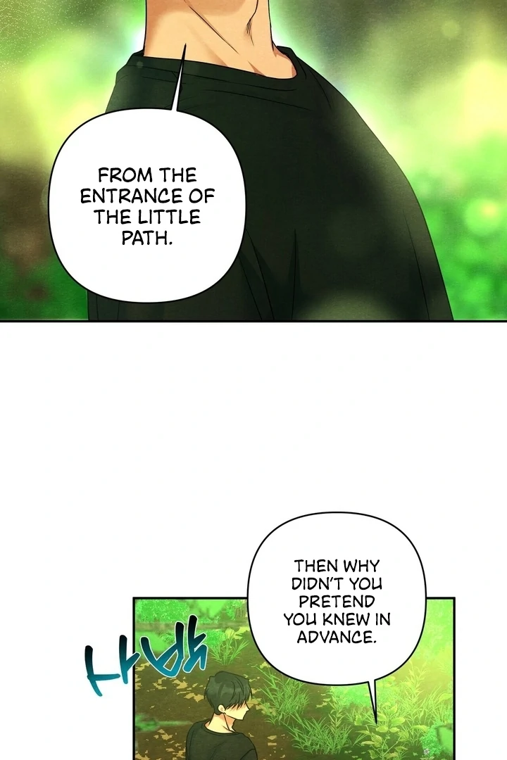 To My Apricot Hill Chapter 22 - page 33