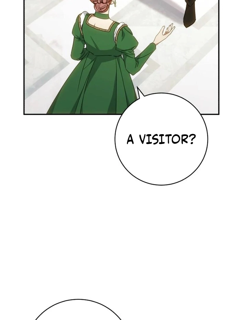 My Husband Was Stolen Twice Chapter 28 - page 27