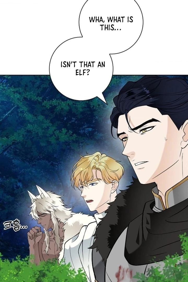 The Saintess's Petals Become Wet Chapter 31 - page 4