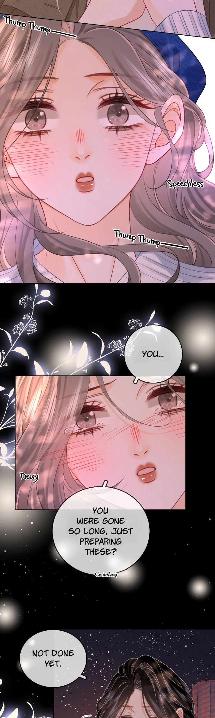 Twin Flames Of Destiny Chapter 95 - page 14