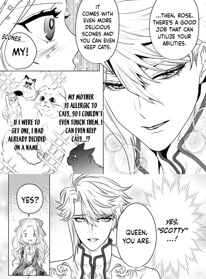 It Seems That My Fiancé Is Cheating on Me, but Does That Mean I'm a Popular Villainess? Chapter 8 - page 27