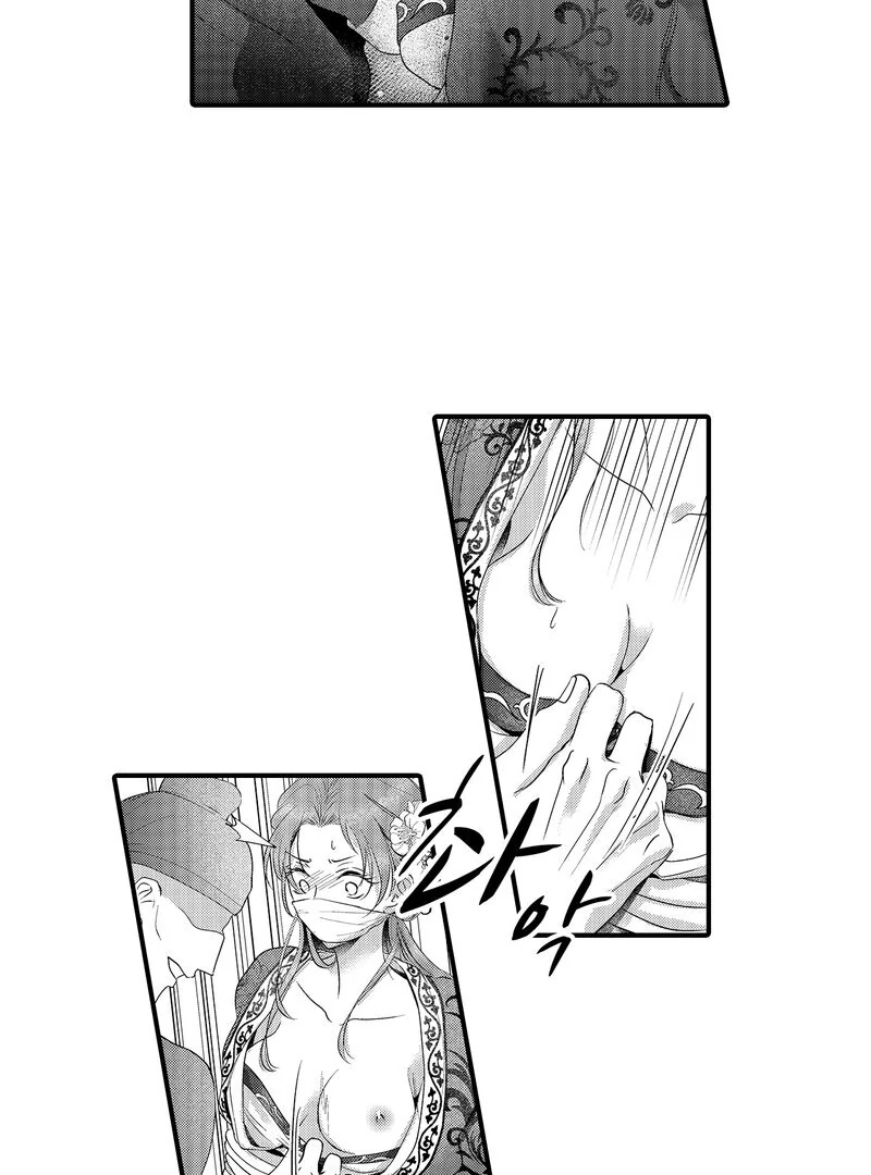 The Merciless Emperor’s Pet Consort Chapter 16 - page 28