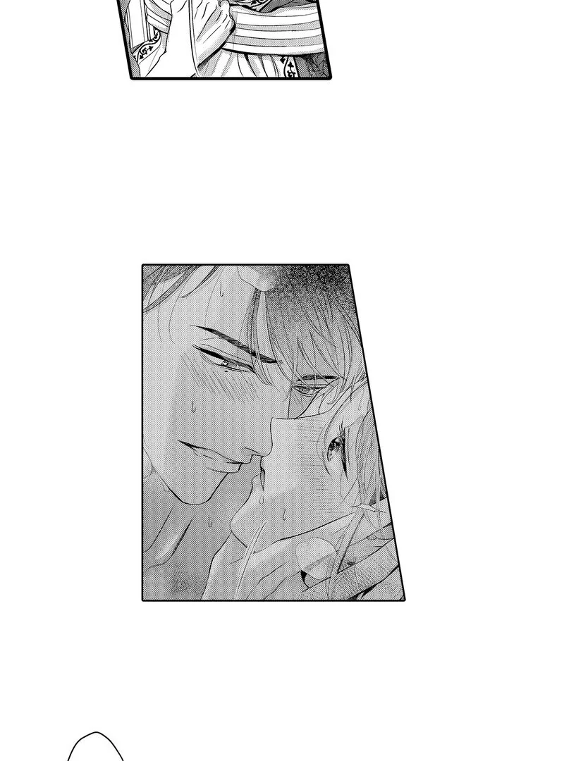 The Merciless Emperor’s Pet Consort Chapter 16 - page 29