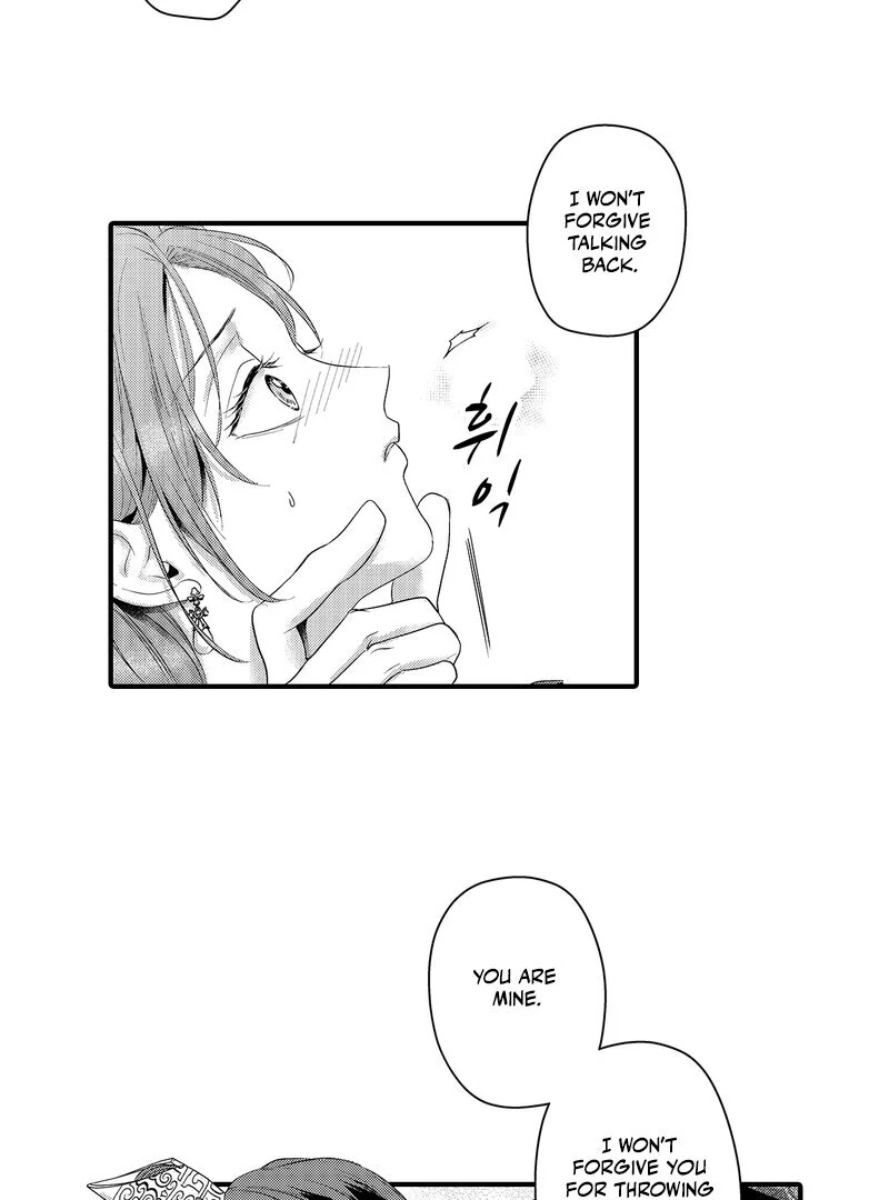 The Merciless Emperor’s Pet Consort Chapter 17 - page 20