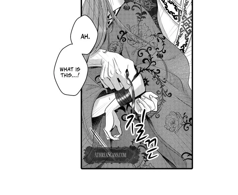 The Merciless Emperor’s Pet Consort Chapter 17 - page 25