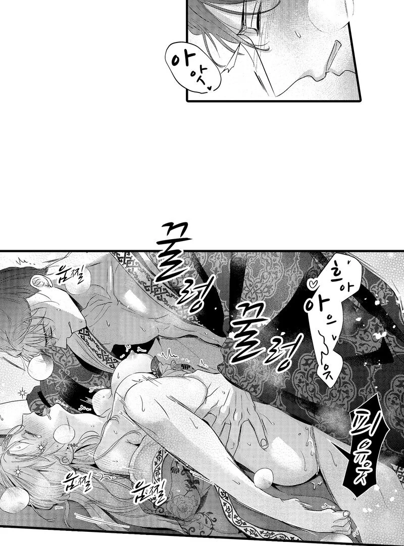 The Merciless Emperor’s Pet Consort Chapter 18 - page 17