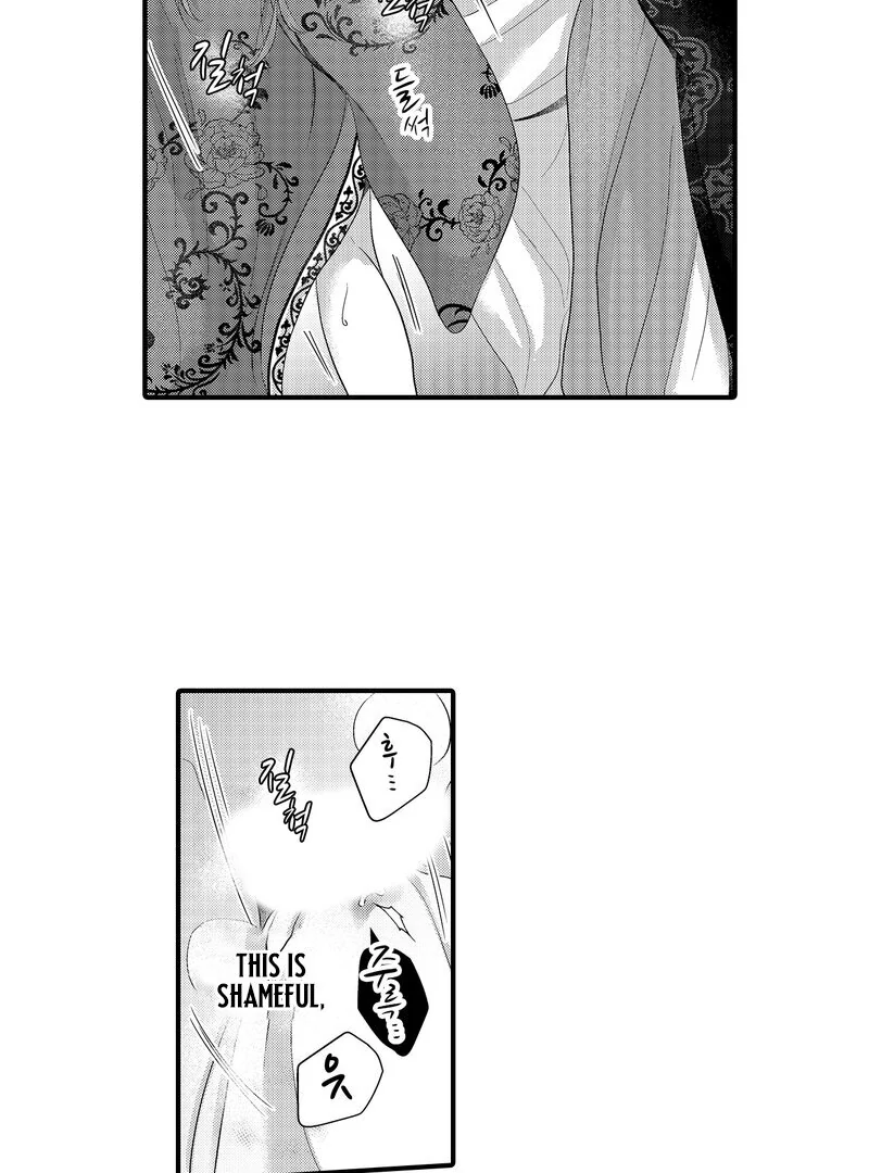 The Merciless Emperor’s Pet Consort Chapter 18 - page 3