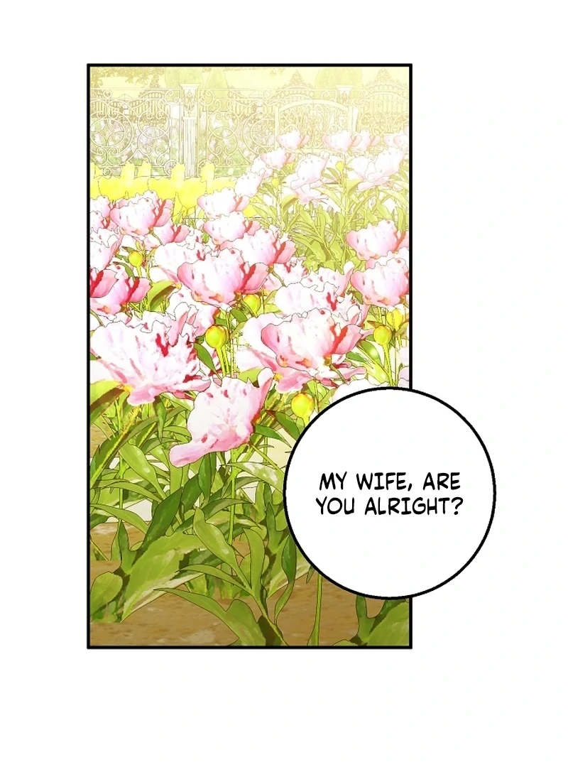 Sub-Male Lead, You Said It Was A Contract Marriage? Chapter 28 - page 91