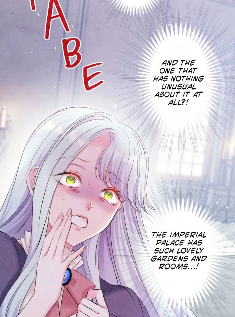 The Abandoned Lady Became the Imperial Family's Beloved Caretaker Chapter 25 - page 44