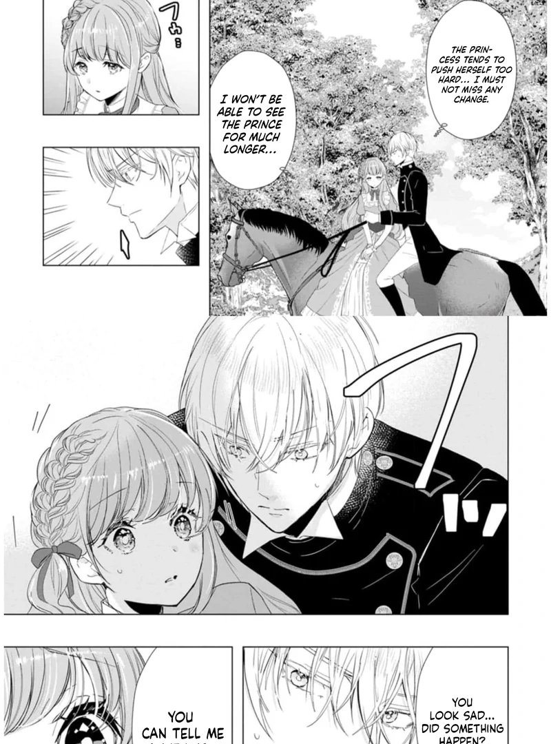 Cinderella’s Sister Became the Prince’s Bride, Living a Slow Life as the Stand-In Princess Chapter 10 - page 12