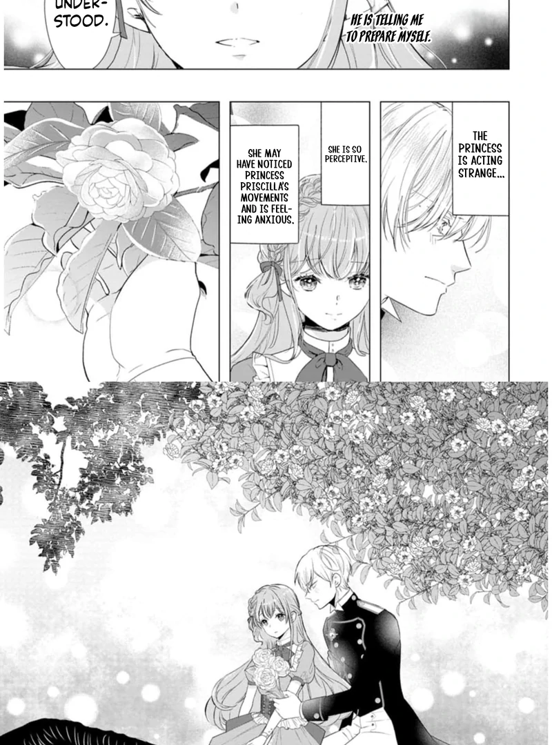 Cinderella’s Sister Became the Prince’s Bride, Living a Slow Life as the Stand-In Princess Chapter 10 - page 15
