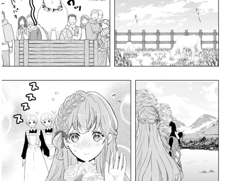 Cinderella’s Sister Became the Prince’s Bride, Living a Slow Life as the Stand-In Princess Chapter 10 - page 17