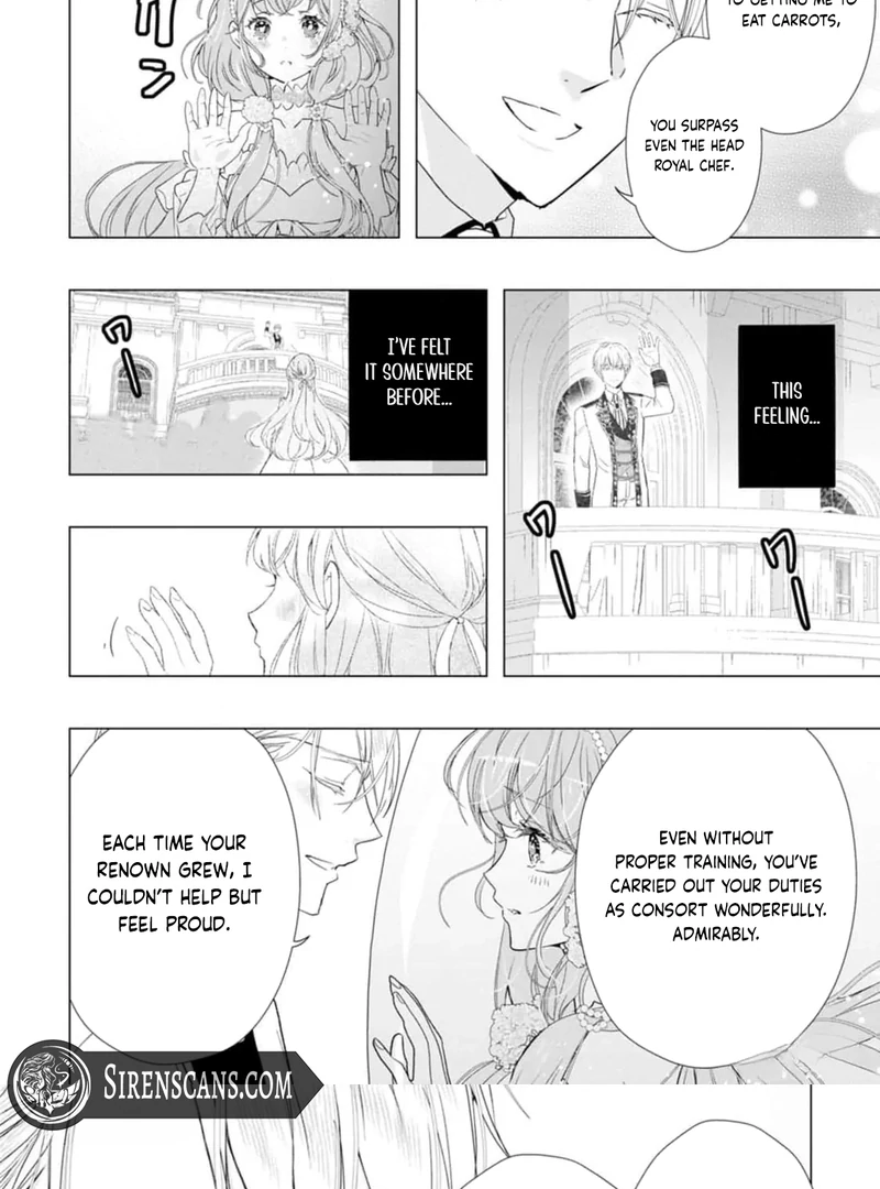 Cinderella’s Sister Became the Prince’s Bride, Living a Slow Life as the Stand-In Princess Chapter 11 - page 22