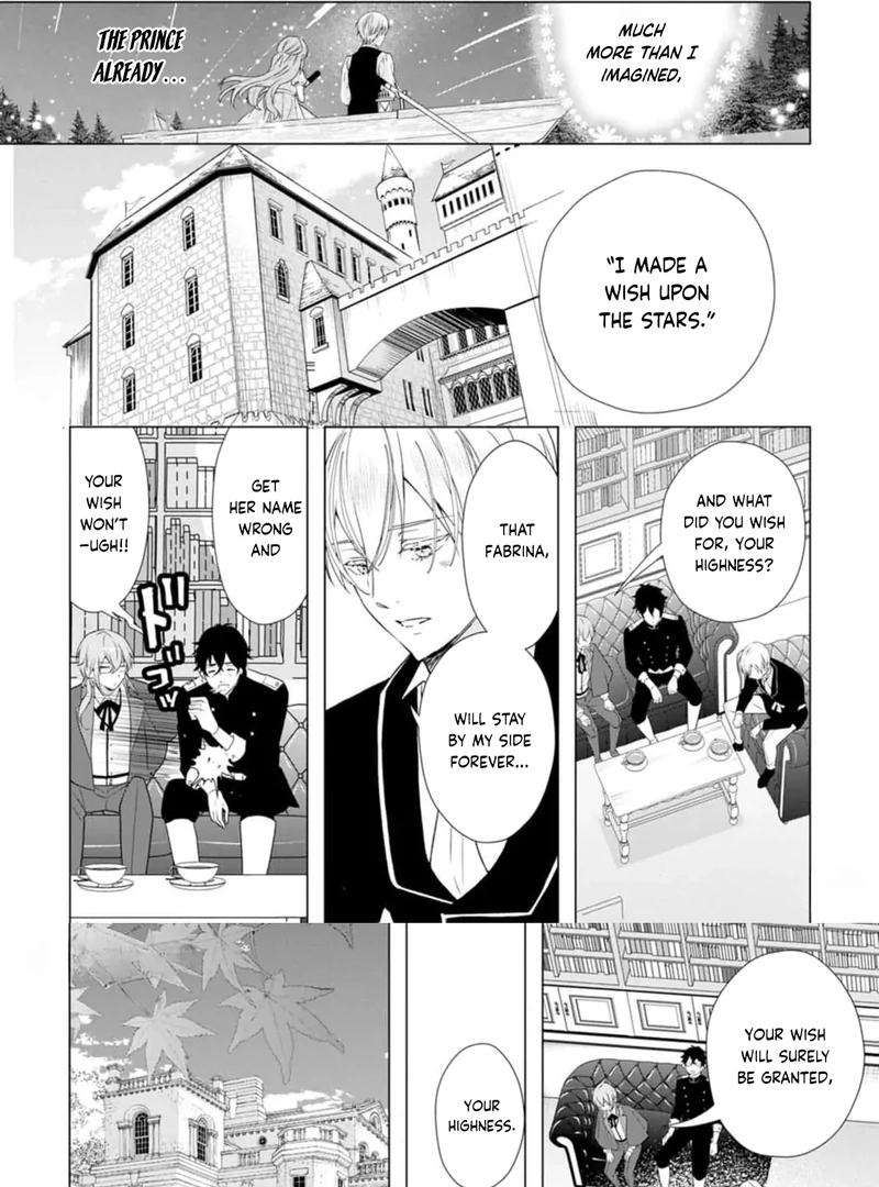 Cinderella’s Sister Became the Prince’s Bride, Living a Slow Life as the Stand-In Princess Chapter 12 - page 27