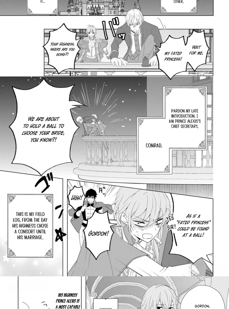 Cinderella’s Sister Became the Prince’s Bride, Living a Slow Life as the Stand-In Princess Chapter 12 - page 2