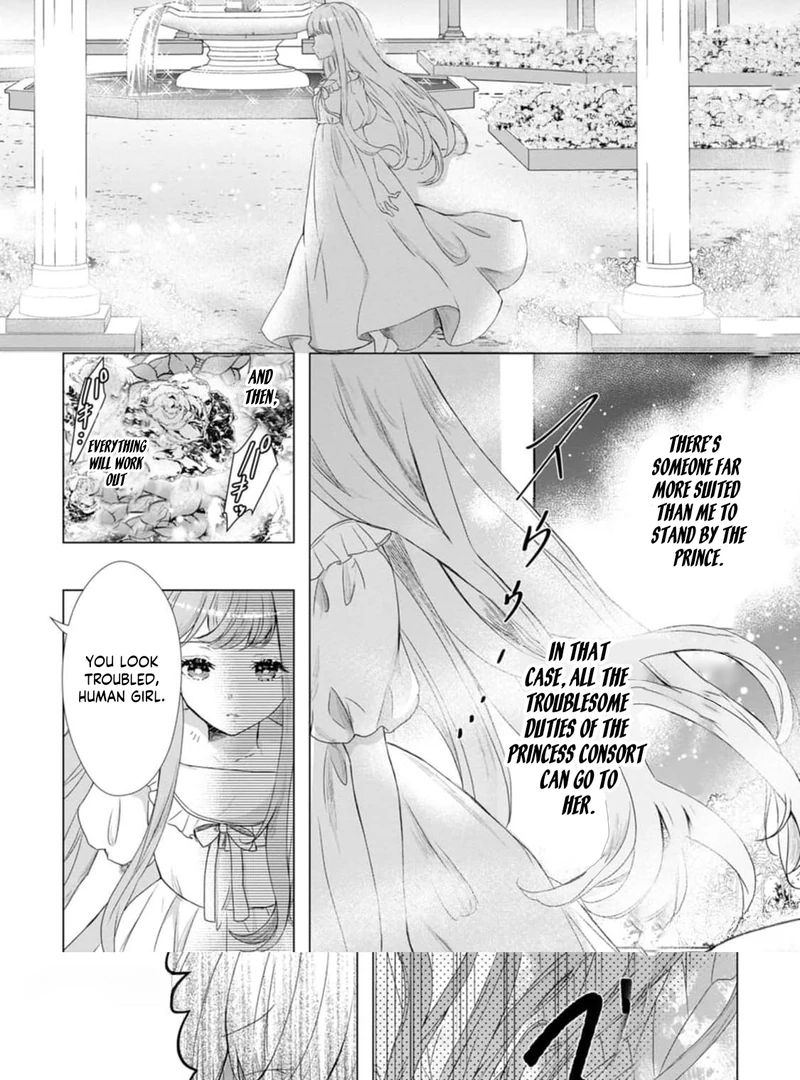 Cinderella’s Sister Became the Prince’s Bride, Living a Slow Life as the Stand-In Princess Chapter 15 - page 23
