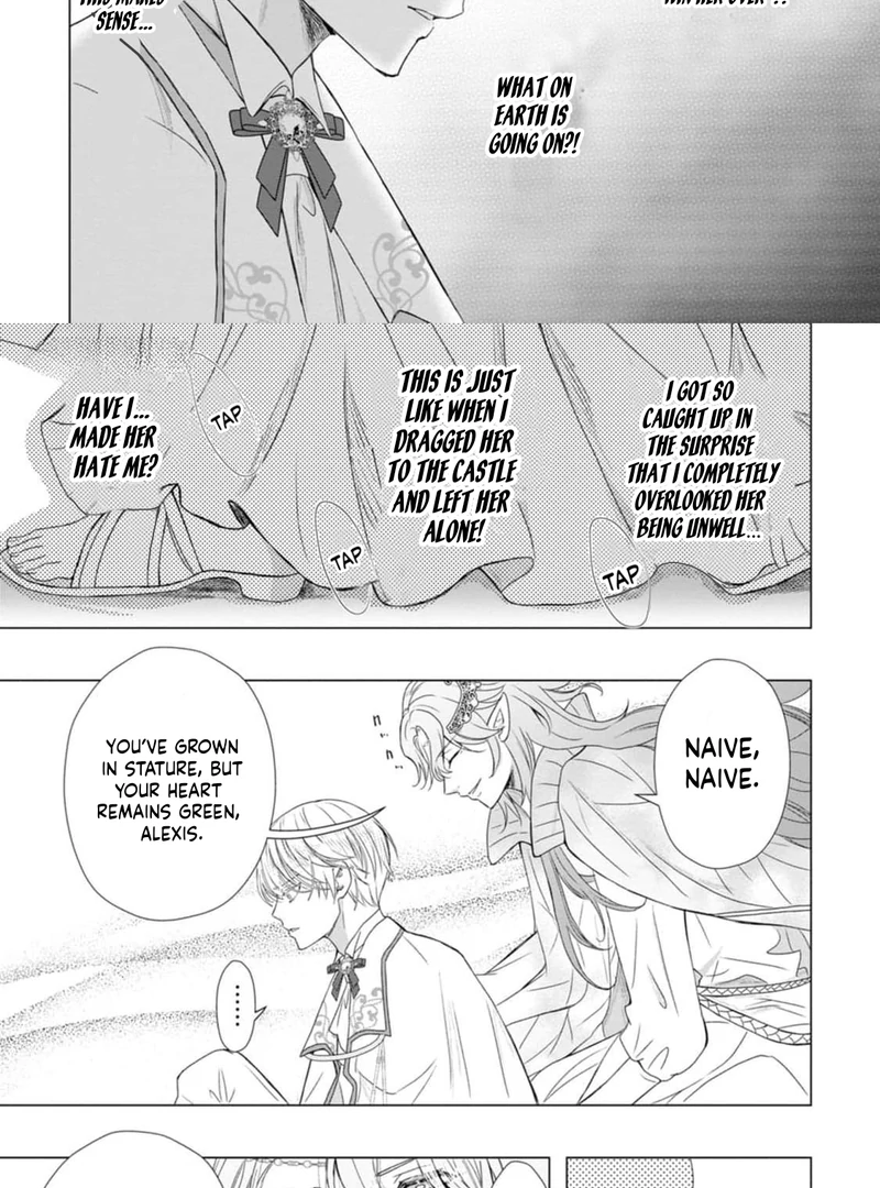 Cinderella’s Sister Became the Prince’s Bride, Living a Slow Life as the Stand-In Princess Chapter 15 - page 33