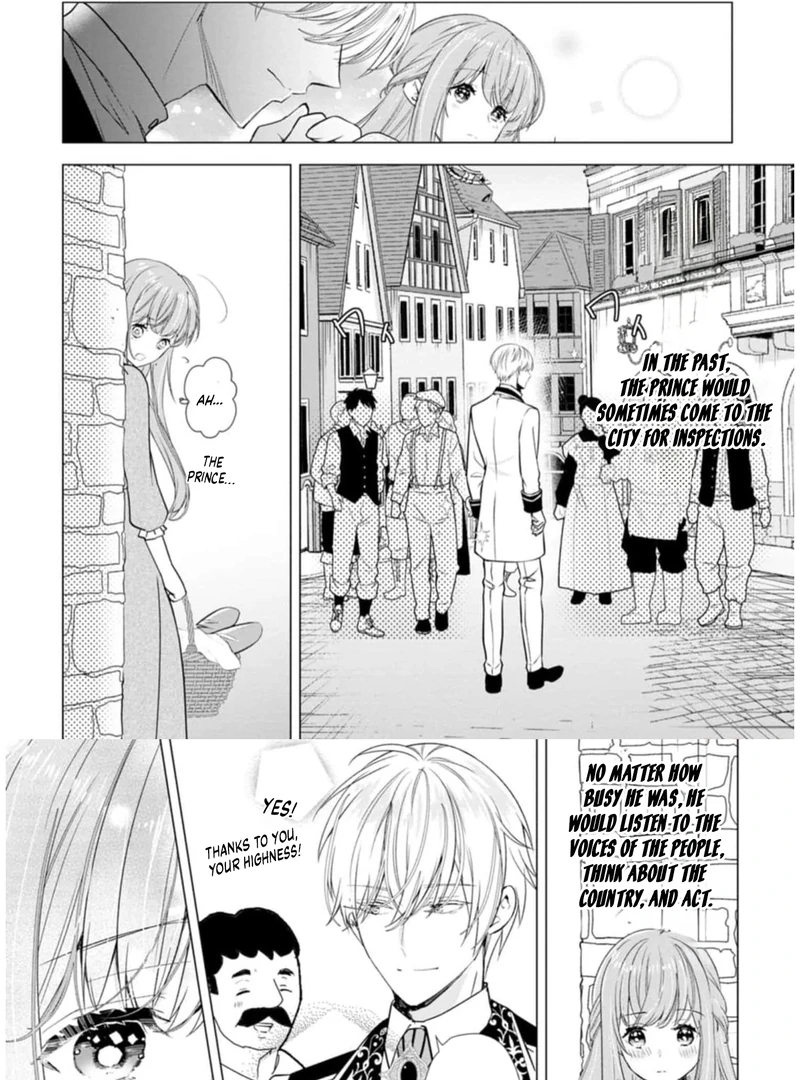 Cinderella’s Sister Became the Prince’s Bride, Living a Slow Life as the Stand-In Princess Chapter 8 - page 23