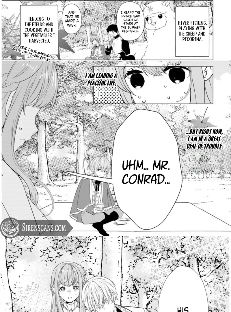 Cinderella’s Sister Became the Prince’s Bride, Living a Slow Life as the Stand-In Princess Chapter 8 - page 29
