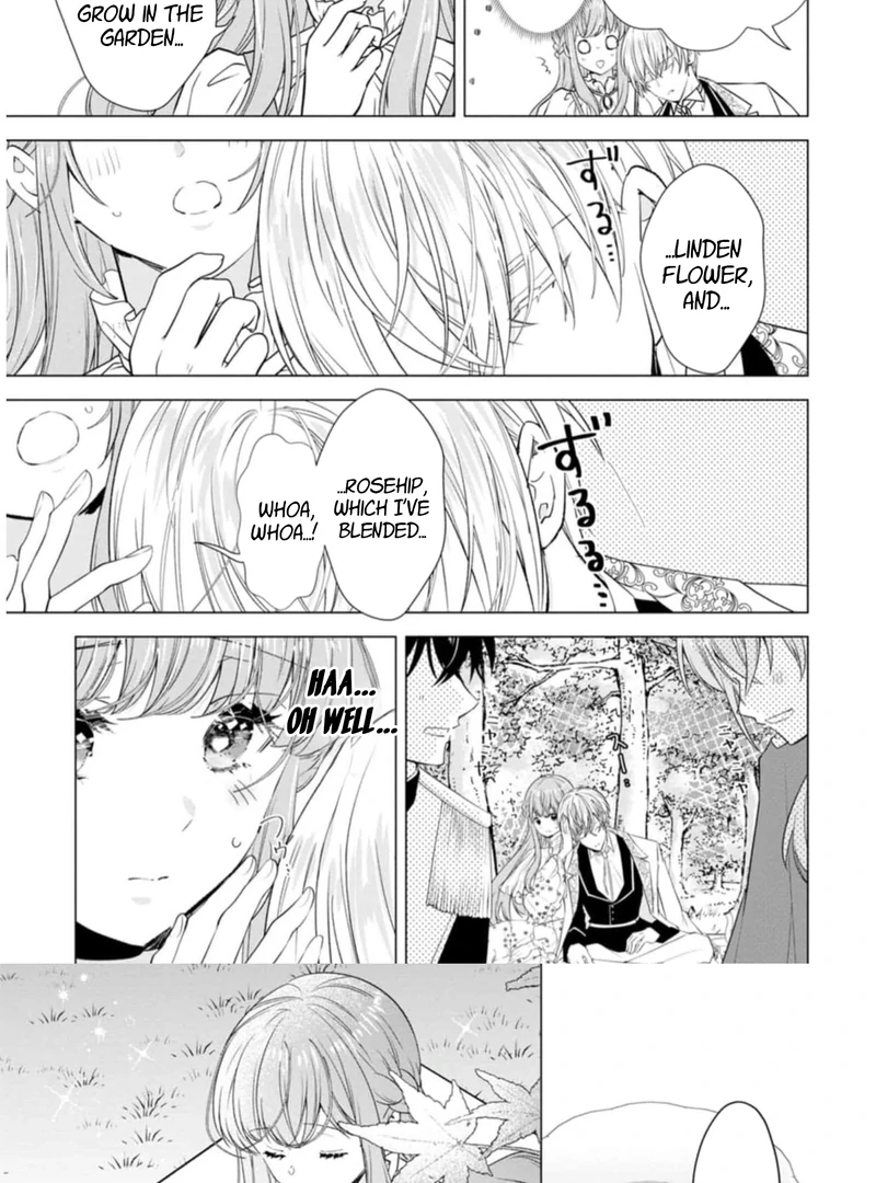 Cinderella’s Sister Became the Prince’s Bride, Living a Slow Life as the Stand-In Princess Chapter 8 - page 31