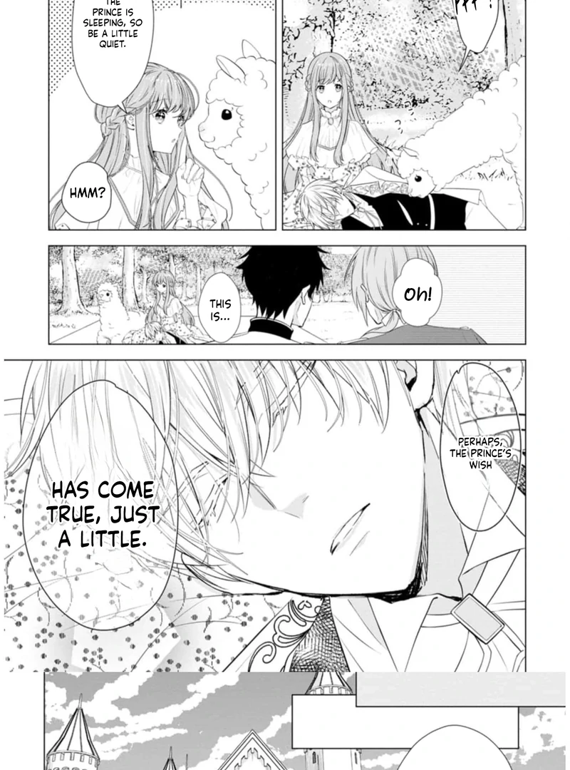 Cinderella’s Sister Became the Prince’s Bride, Living a Slow Life as the Stand-In Princess Chapter 8 - page 33