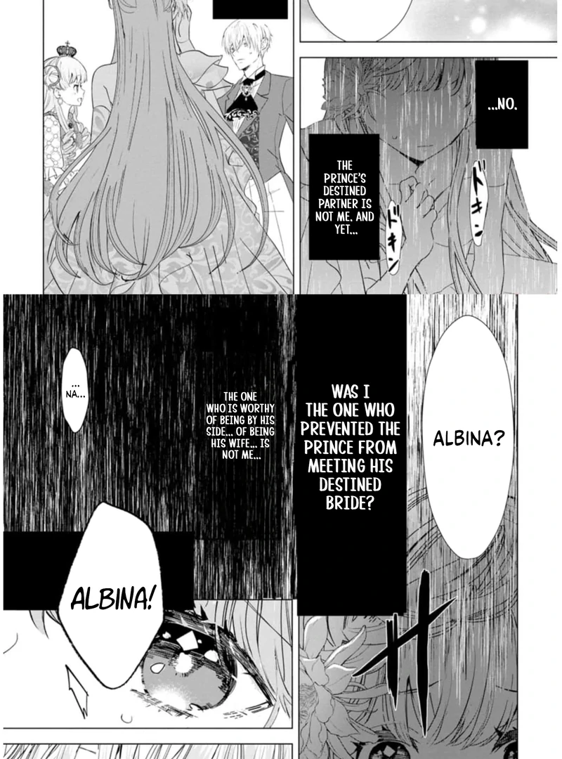 Cinderella’s Sister Became the Prince’s Bride, Living a Slow Life as the Stand-In Princess Chapter 9 - page 12