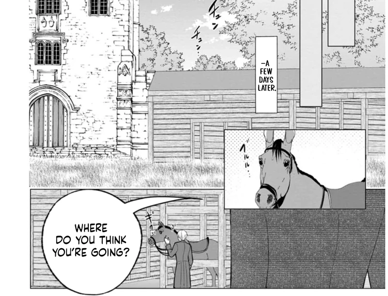 Cinderella’s Sister Became the Prince’s Bride, Living a Slow Life as the Stand-In Princess Chapter 9 - page 18