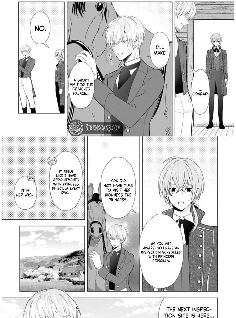 Cinderella’s Sister Became the Prince’s Bride, Living a Slow Life as the Stand-In Princess Chapter 9 - page 19