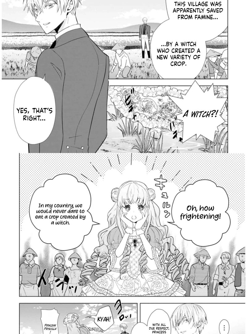 Cinderella’s Sister Became the Prince’s Bride, Living a Slow Life as the Stand-In Princess Chapter 9 - page 20