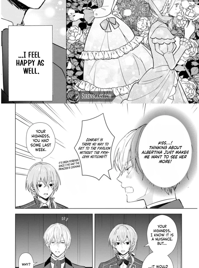Cinderella’s Sister Became the Prince’s Bride, Living a Slow Life as the Stand-In Princess Chapter 9 - page 29