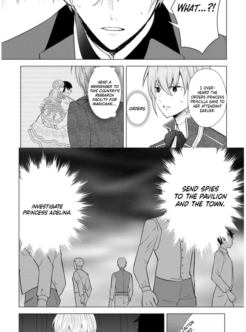 Cinderella’s Sister Became the Prince’s Bride, Living a Slow Life as the Stand-In Princess Chapter 9 - page 31