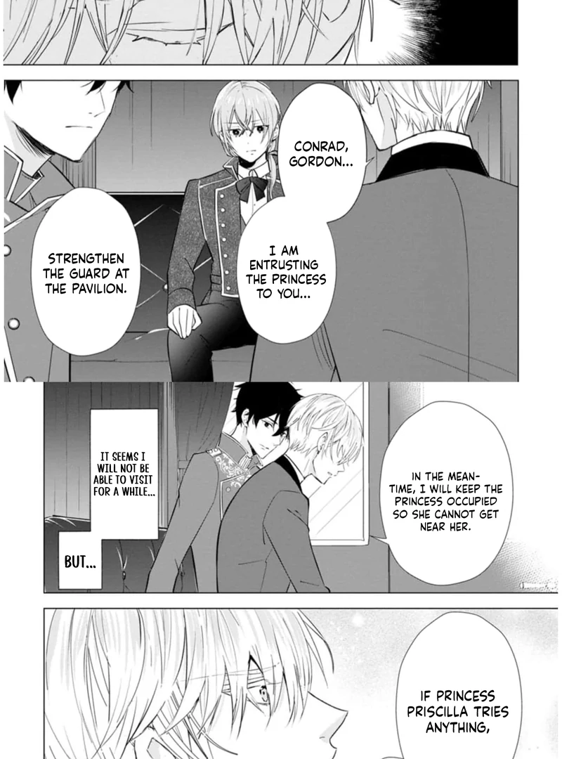 Cinderella’s Sister Became the Prince’s Bride, Living a Slow Life as the Stand-In Princess Chapter 9 - page 33