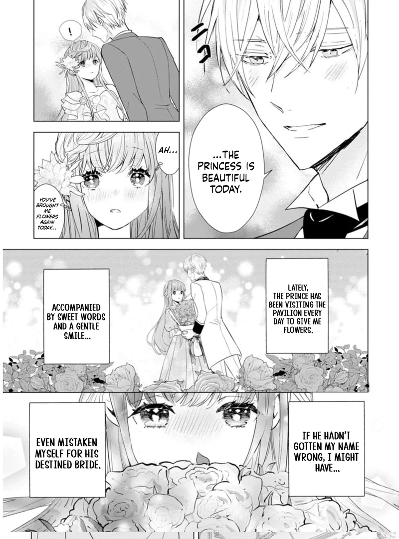 Cinderella’s Sister Became the Prince’s Bride, Living a Slow Life as the Stand-In Princess Chapter 9 - page 6