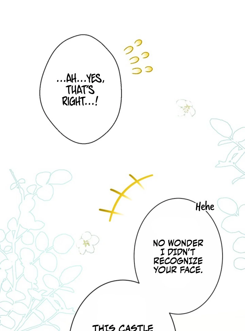 The Quiet Night You Disappeared: Nowhere to Run from the Husband I Divorce Chapter 25 - page 44