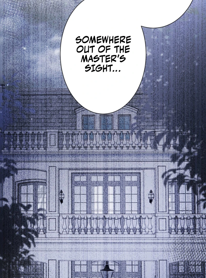 The Quiet Night You Disappeared: Nowhere to Run from the Husband I Divorce Chapter 25 - page 77