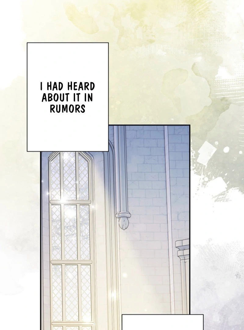 The Quiet Night You Disappeared: Nowhere to Run from the Husband I Divorce Chapter 25 - page 8