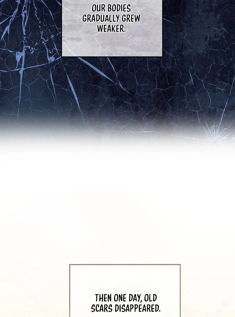 I Opened an Illegal Veterinary Clinic in Another World Chapter 20 - page 21