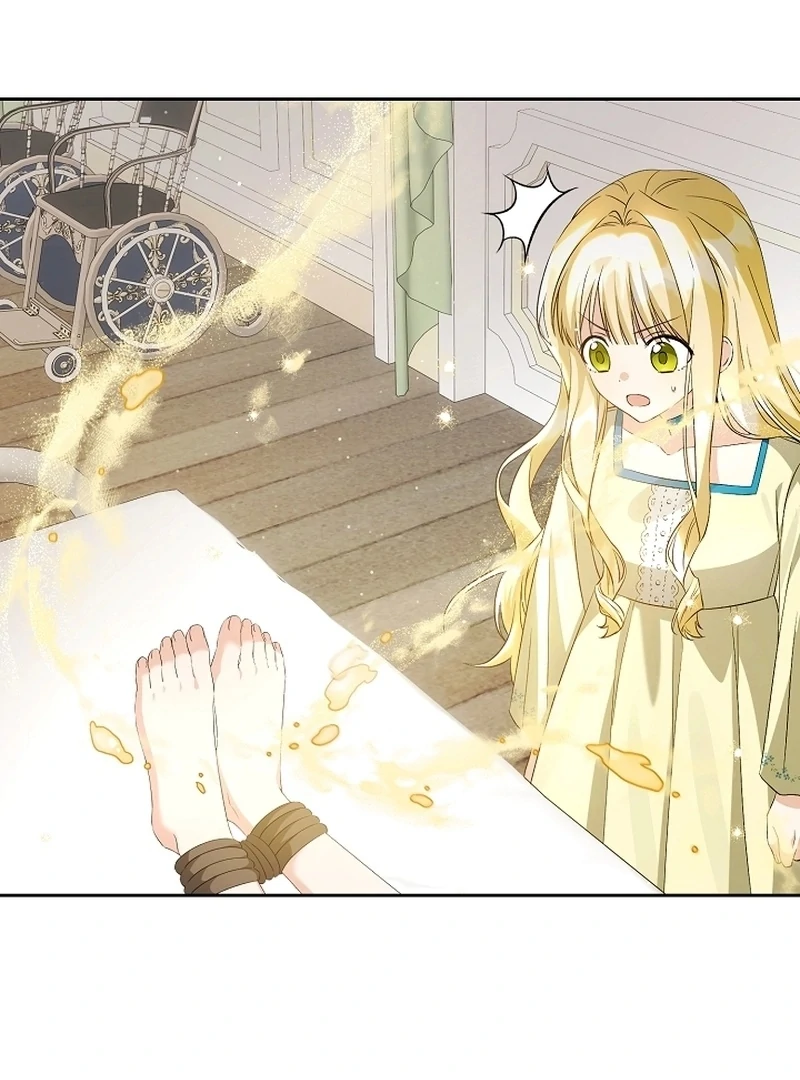 I Opened an Illegal Veterinary Clinic in Another World Chapter 21 - page 25