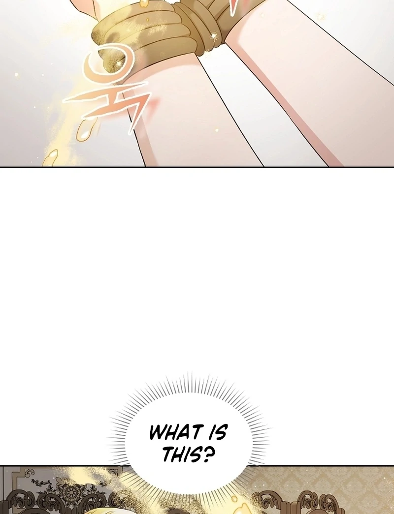 I Opened an Illegal Veterinary Clinic in Another World Chapter 21 - page 27