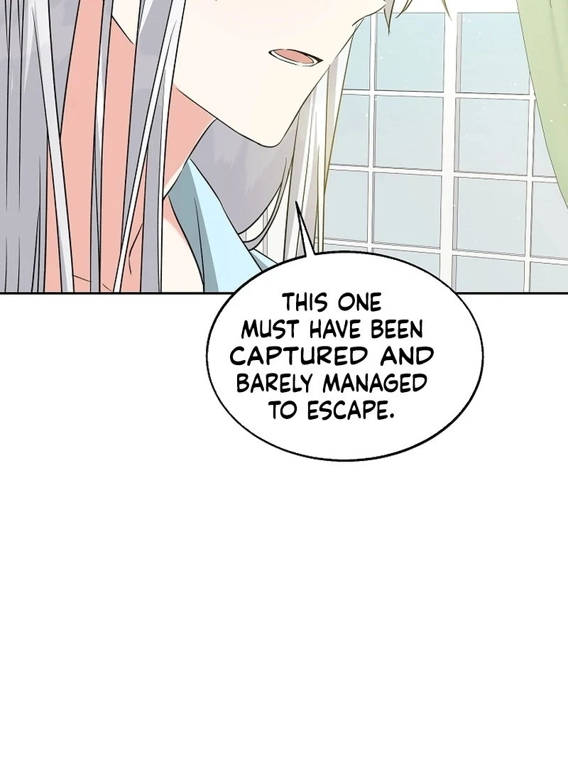 I Opened an Illegal Veterinary Clinic in Another World Chapter 21 - page 95