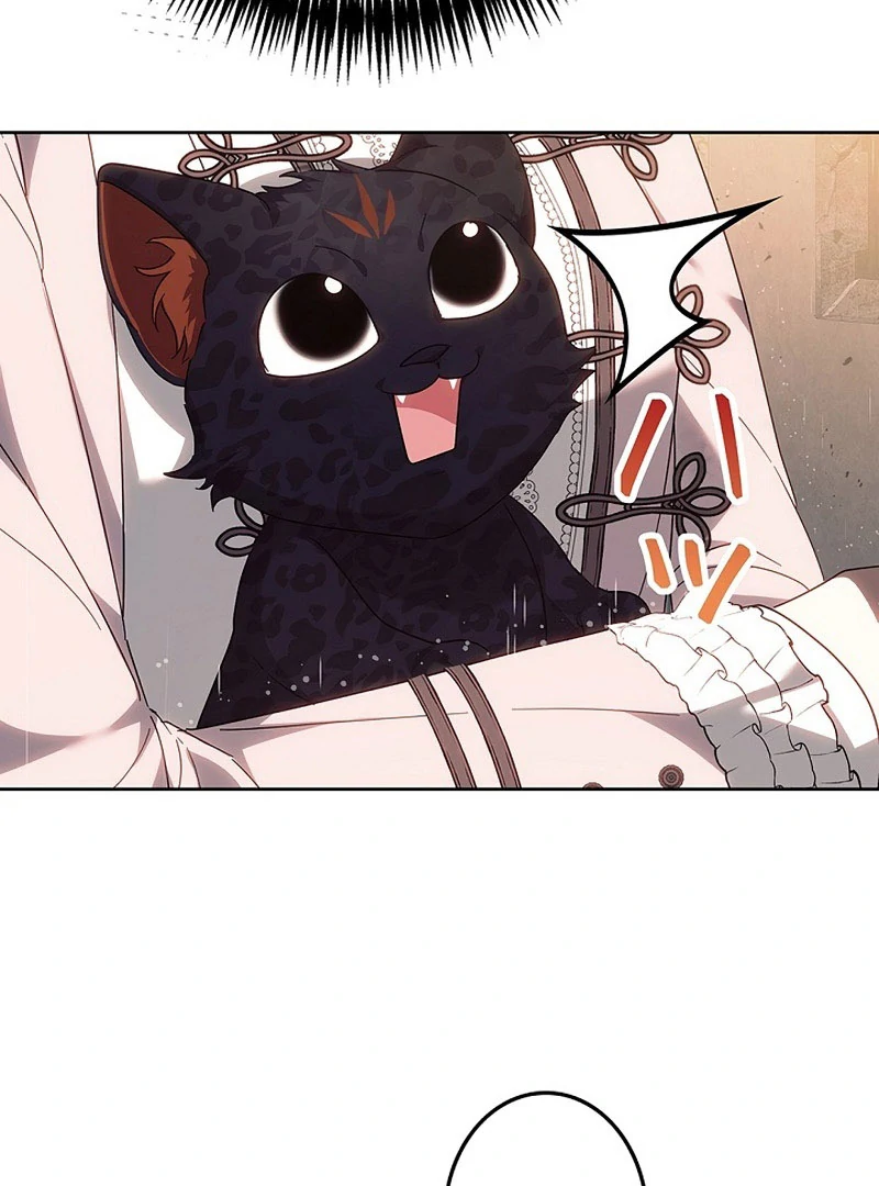 The Super-Strong Noble Lady Wants to Be Truly Weak Chapter 22 - page 41