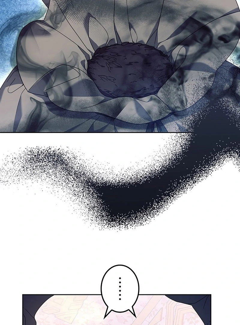 The Super-Strong Noble Lady Wants to Be Truly Weak Chapter 24 - page 68