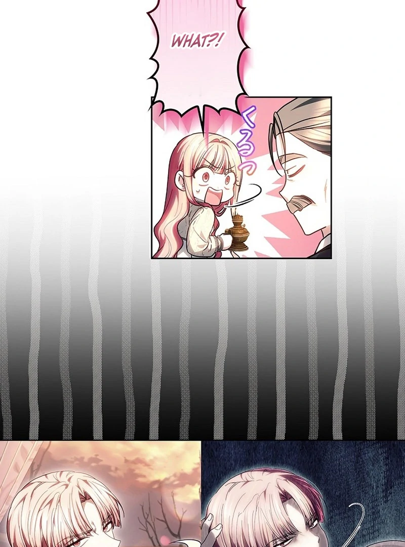 The Super-Strong Noble Lady Wants to Be Truly Weak Chapter 25 - page 67