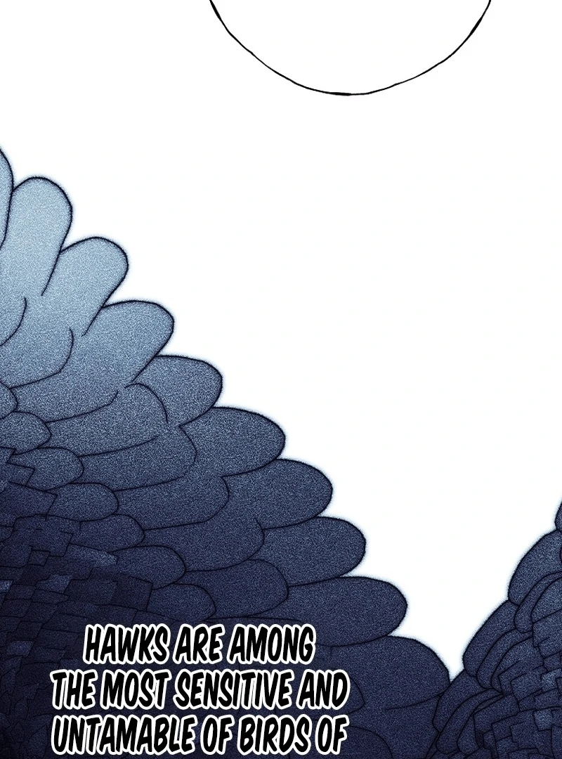 Shards of a Broken Glass Slipper Chapter 23 - page 12